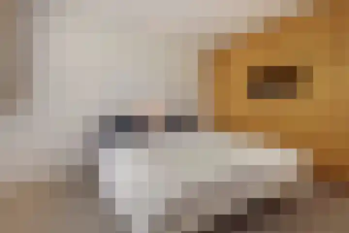 Heuveleindseweg 8 Best thumbnail 21