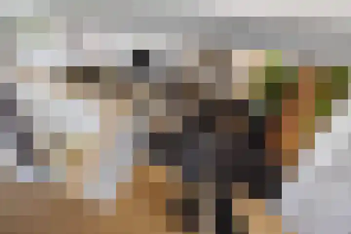 Heuveleindseweg 8 Best thumbnail 25