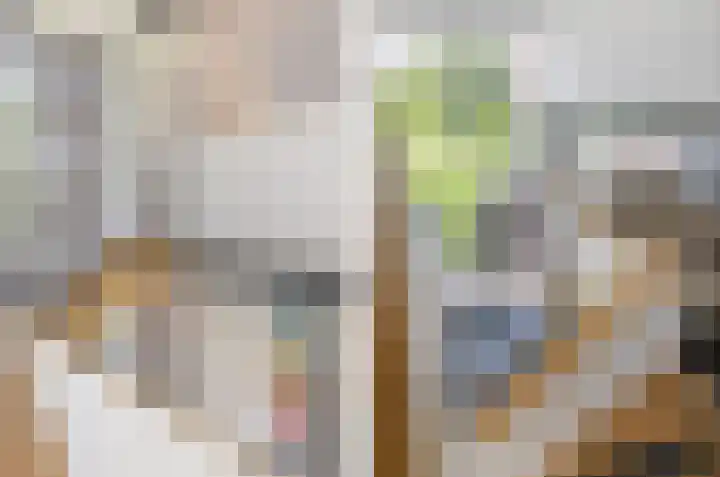 Heuveleindseweg 8 Best thumbnail 26