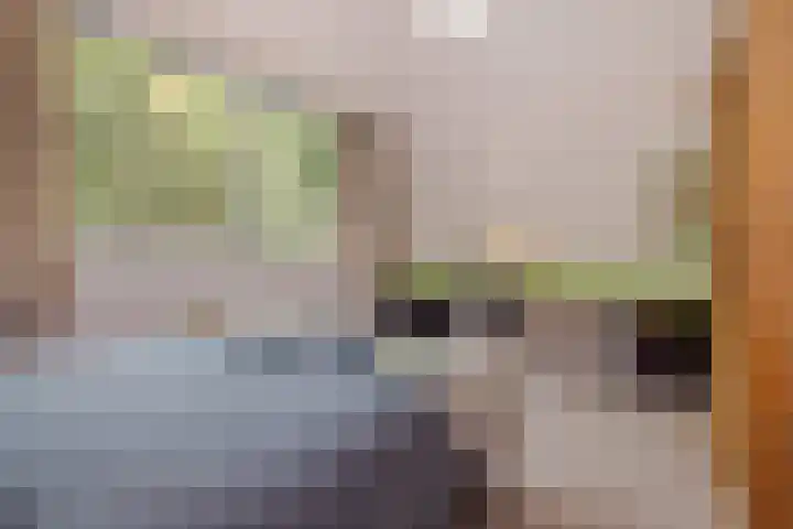 Heuveleindseweg 8 Best thumbnail 29