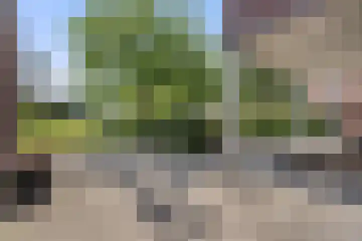 Heuveleindseweg 8 Best thumbnail 34