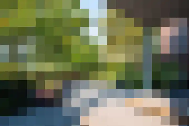 Heuveleindseweg 8 Best thumbnail 36