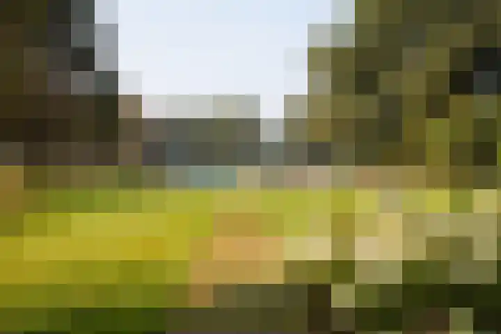 Heuveleindseweg 8 Best thumbnail 37