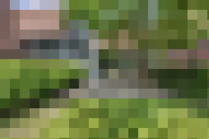 Heuveleindseweg 8 Best thumbnail 38
