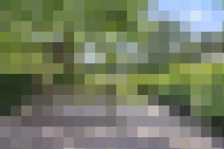 Heuveleindseweg 8 Best thumbnail 39