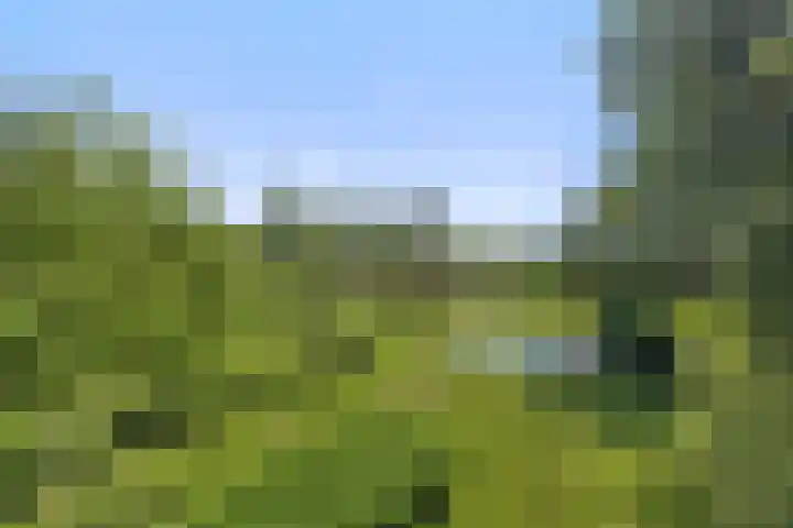 Heuveleindseweg 8 Best thumbnail 40