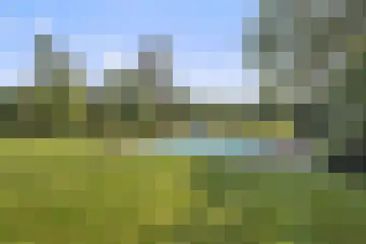 Heuveleindseweg 8 Best thumbnail 41