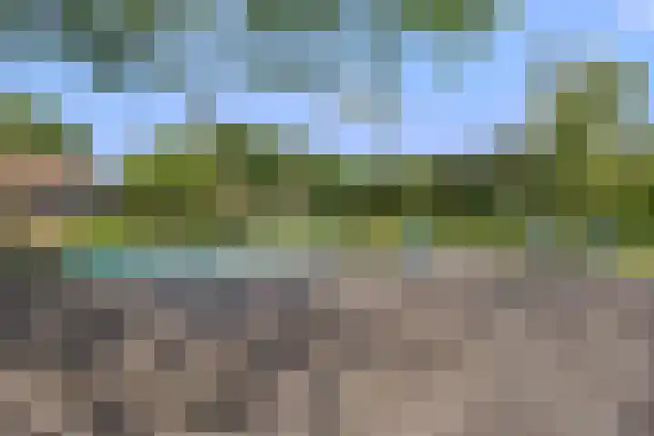 Heuveleindseweg 8 Best thumbnail 43