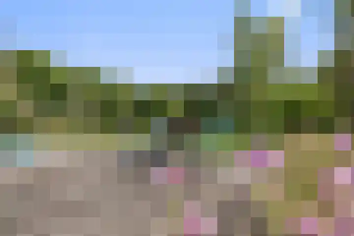 Heuveleindseweg 8 Best thumbnail 44