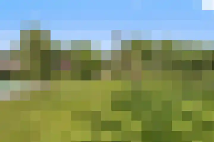 Heuveleindseweg 8 Best thumbnail 45