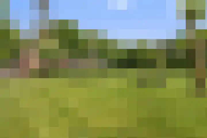 Heuveleindseweg 8 Best thumbnail 46