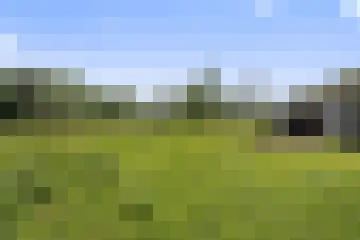 Heuveleindseweg 8 Best thumbnail 49