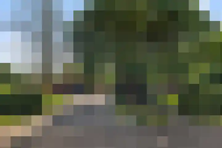 Heuveleindseweg 8 Best thumbnail 5