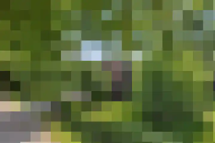 Heuveleindseweg 8 Best thumbnail 50