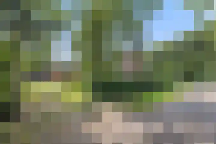 Heuveleindseweg 8 Best thumbnail 52