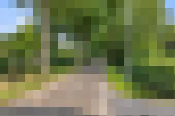 Heuveleindseweg 8 Best thumbnail 53