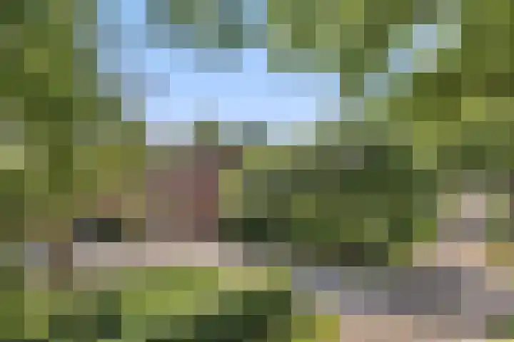 Heuveleindseweg 8 Best thumbnail 58