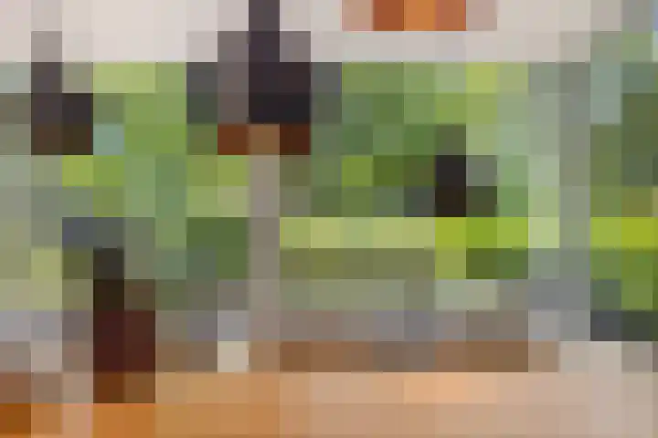 Heuveleindseweg 8 Best thumbnail 8