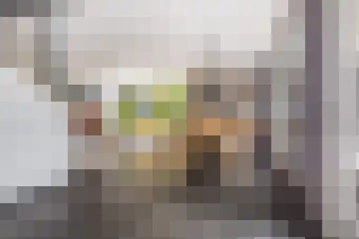 Heuveleindseweg 8 Best thumbnail 9