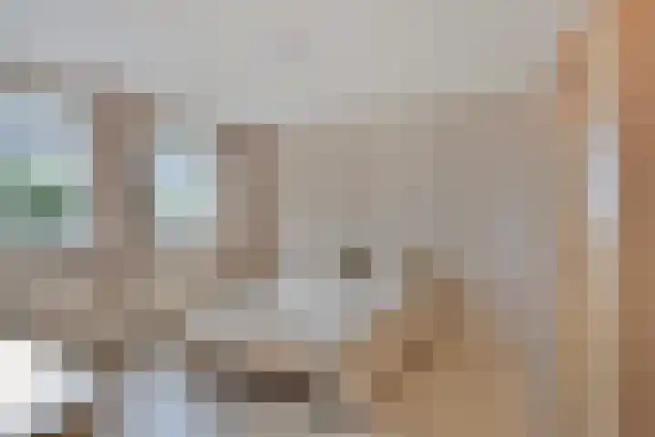 Heuveleindstraat 7 Huisseling thumbnail 20