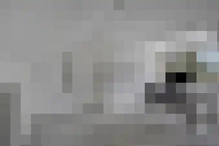 Heuveleindstraat 7 Huisseling thumbnail 30