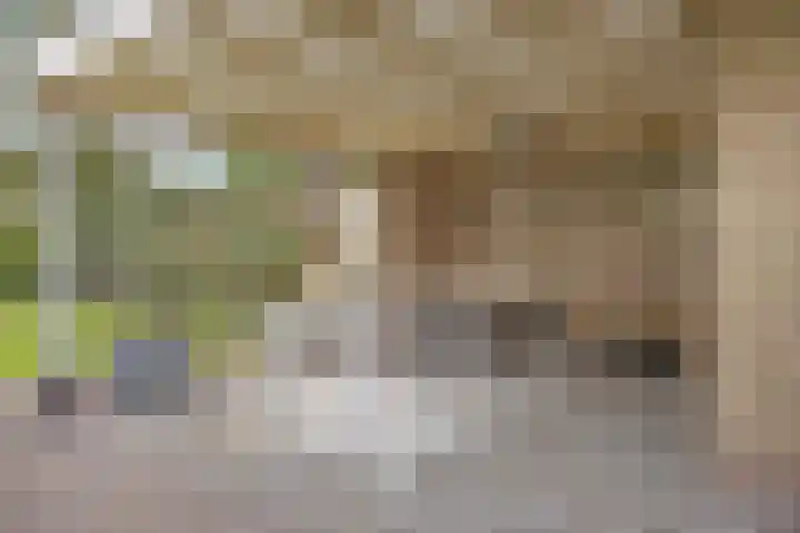 Heuveleindstraat 7 Huisseling thumbnail 37