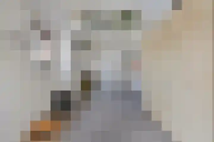 Heuveleindstraat 7 Huisseling thumbnail 39