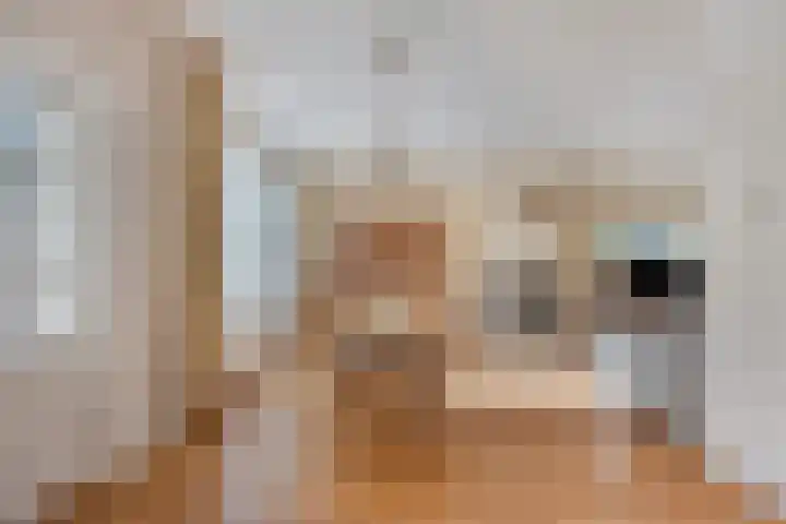 Heuveleindstraat 7 Huisseling thumbnail 4