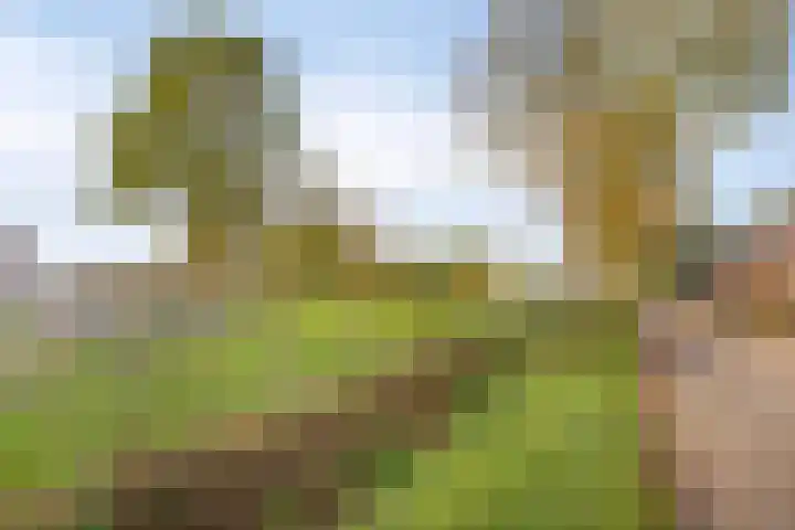 Heuveleindstraat 7 Huisseling thumbnail 43