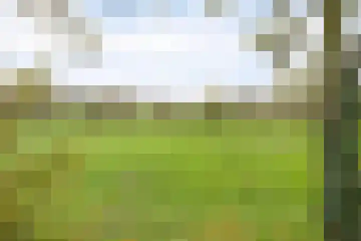 Heuveleindstraat 7 Huisseling thumbnail 44