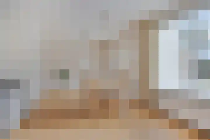 Heuveleindstraat 7 Huisseling thumbnail 8