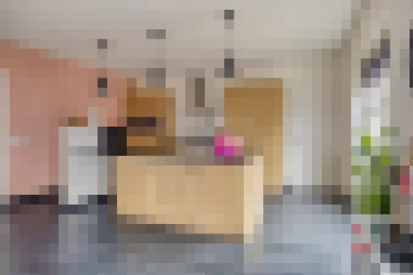 Heuvelenweg 13 Dwingeloo thumbnail 14