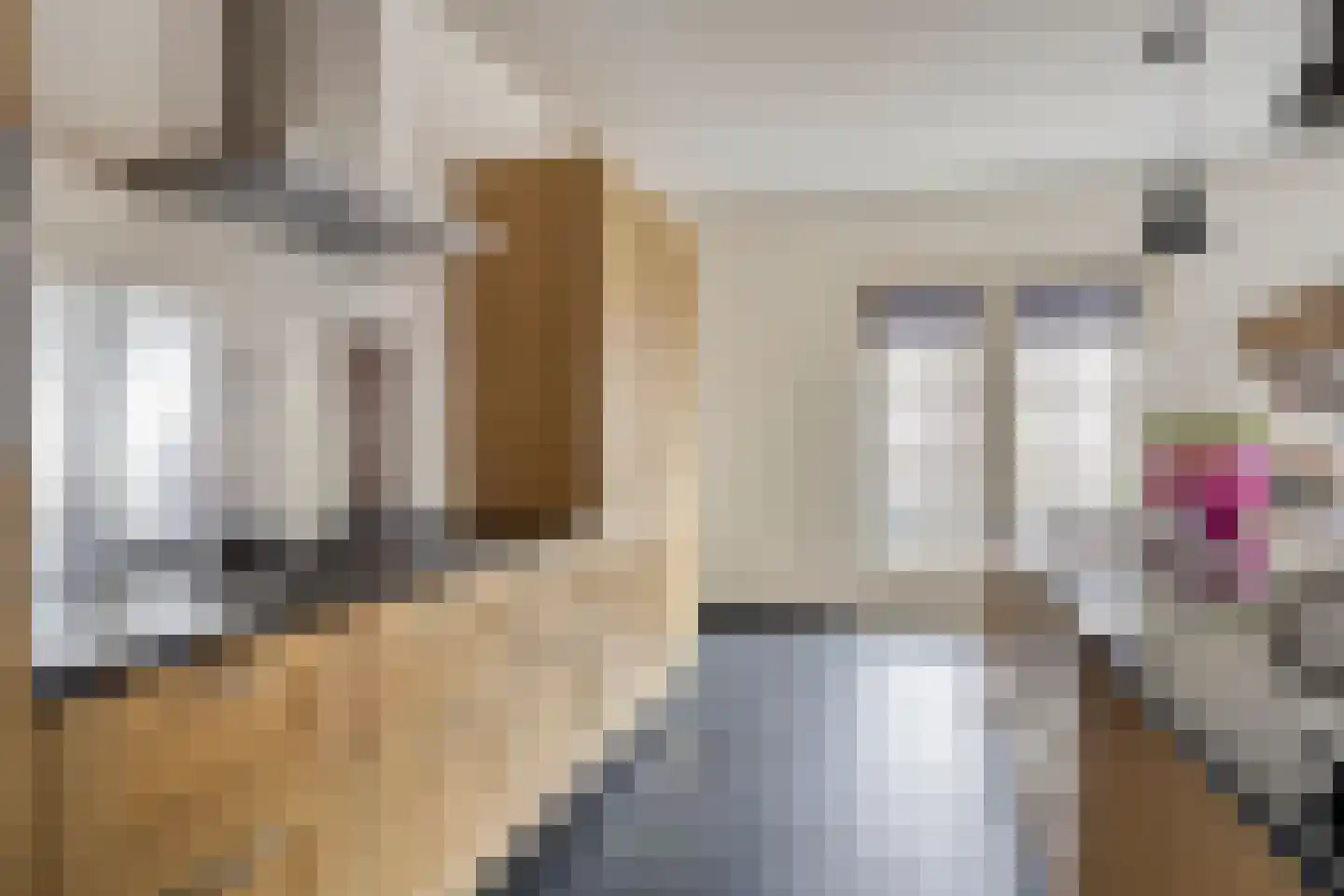 Heuvelenweg 13 Dwingeloo thumbnail 17
