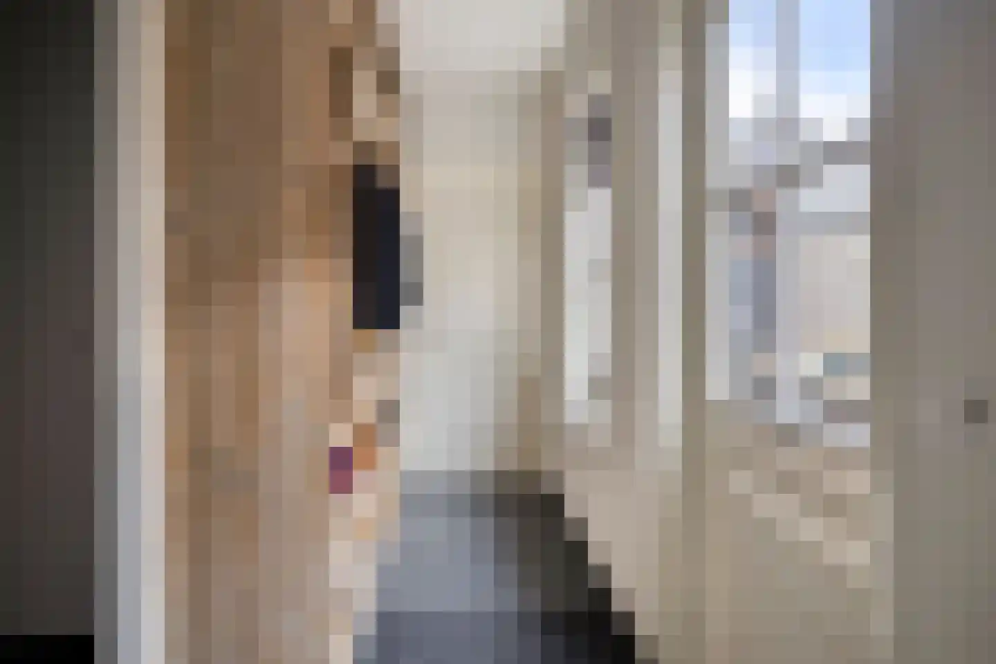 Heuvelenweg 13 Dwingeloo thumbnail 28