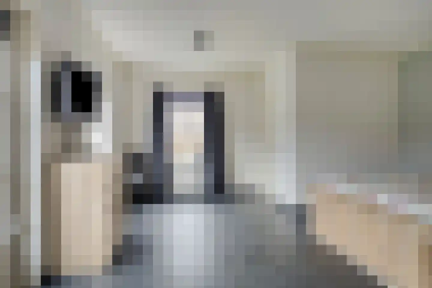 Heuvelenweg 13 Dwingeloo thumbnail 29