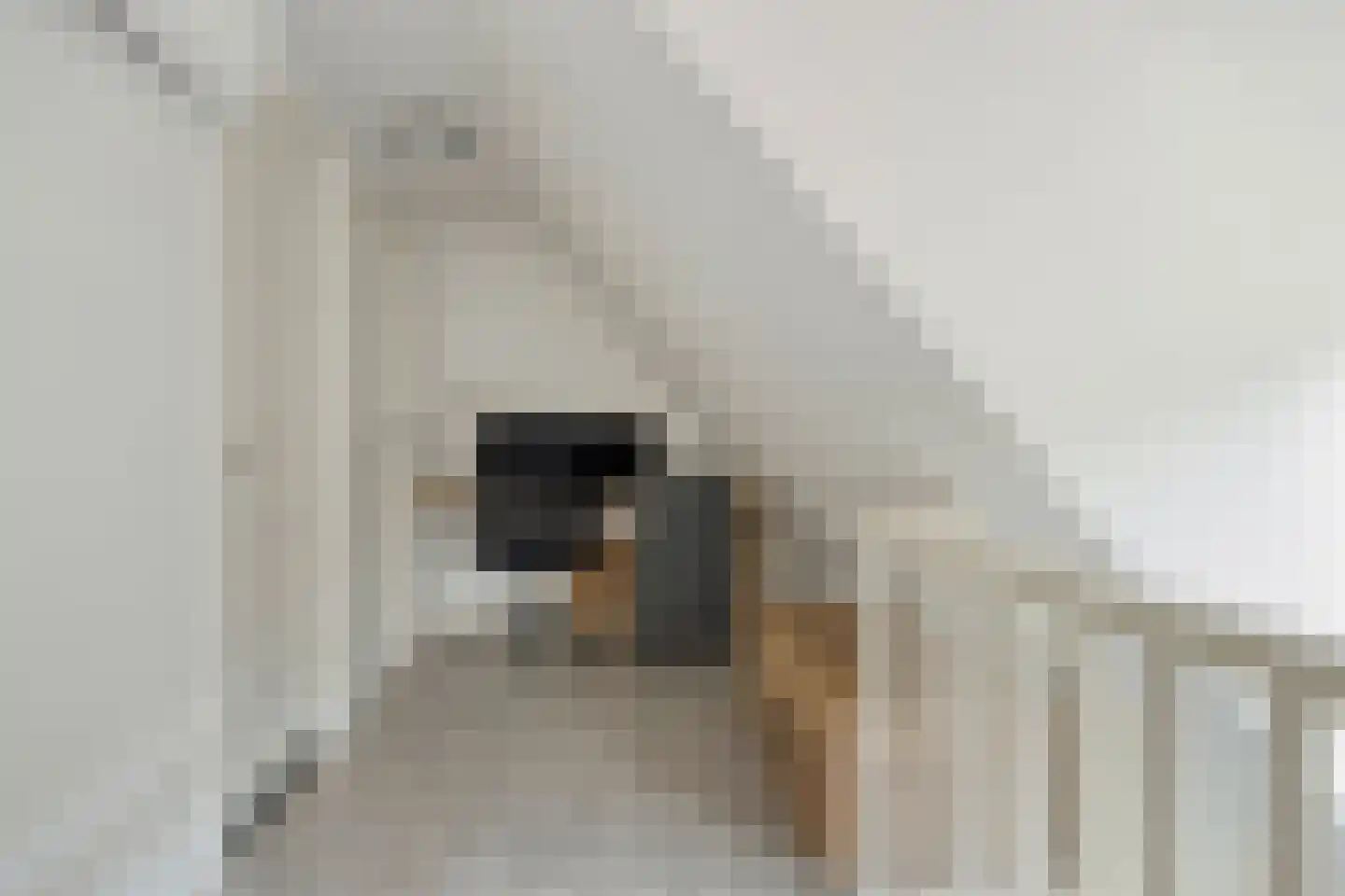 Heuvelenweg 13 Dwingeloo thumbnail 34