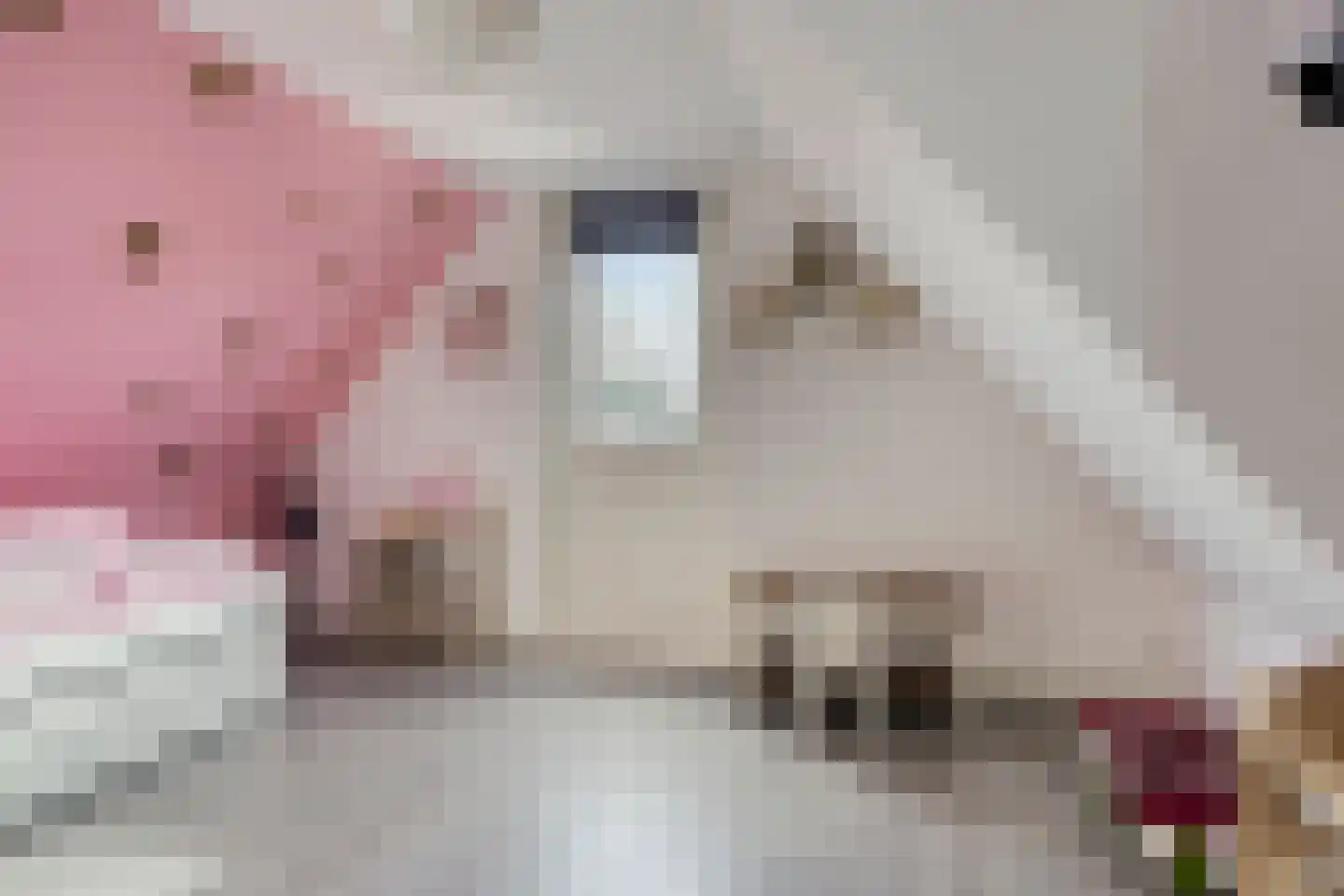 Heuvelenweg 13 Dwingeloo thumbnail 35