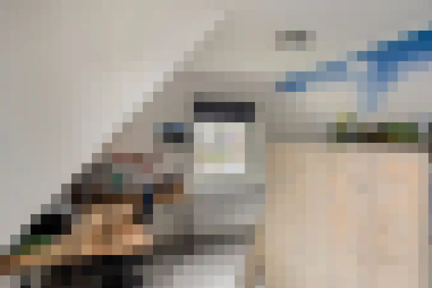 Heuvelenweg 13 Dwingeloo thumbnail 38