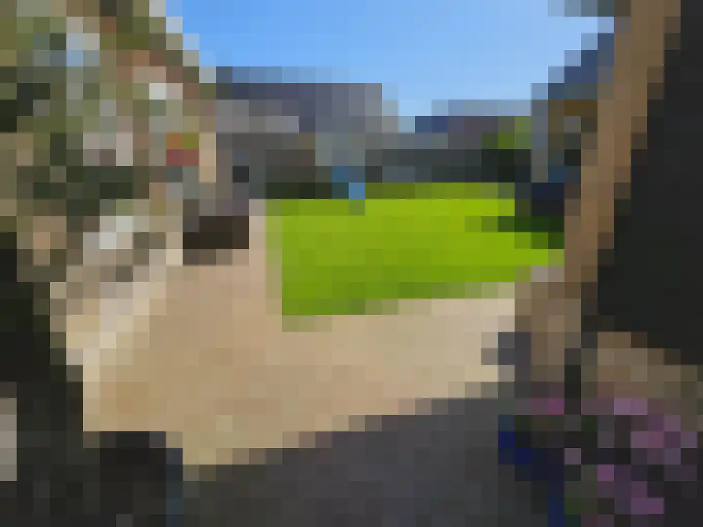 Heuvelenweg 13 Dwingeloo thumbnail 42