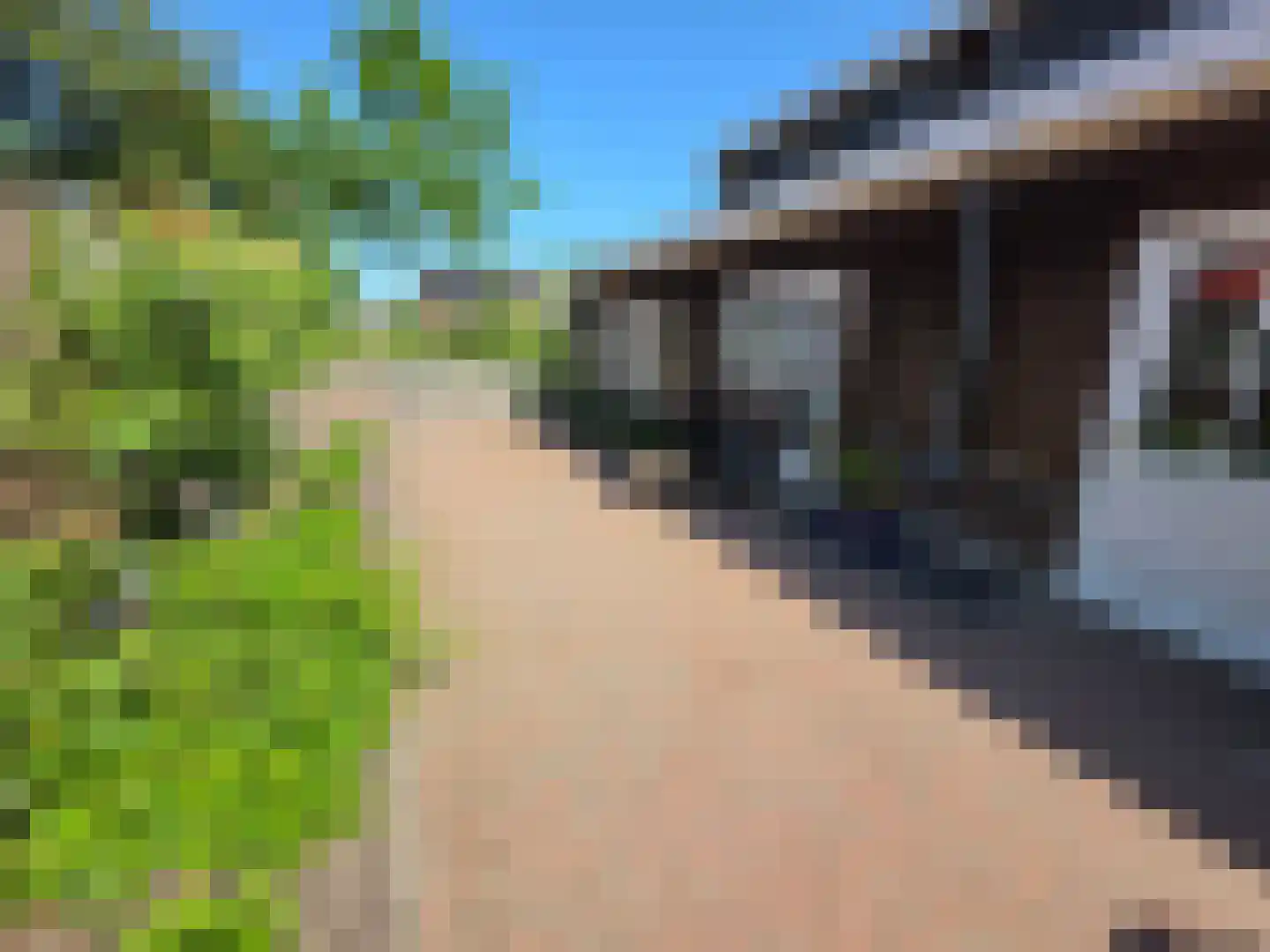 Heuvelenweg 13 Dwingeloo thumbnail 51