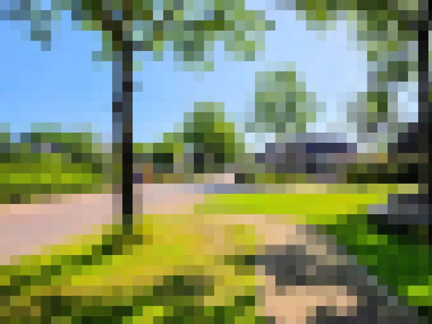 Heuvelenweg 13 Dwingeloo thumbnail 56