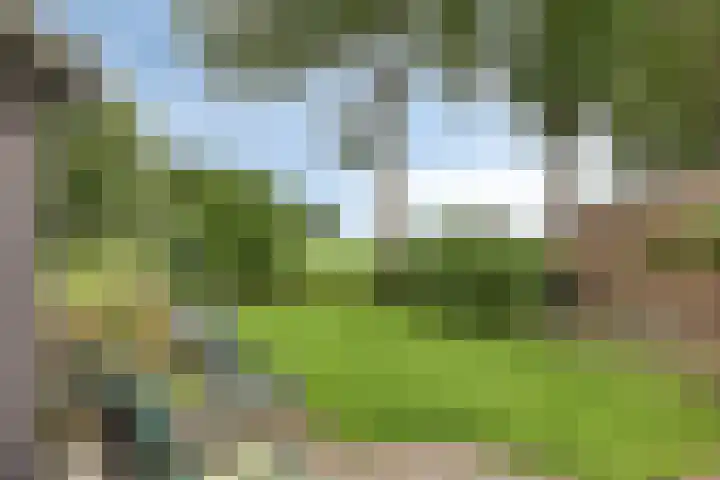Heuvelenweg 16 Dwingeloo thumbnail 24