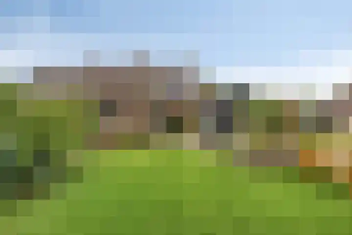 Heuvelenweg 16 Dwingeloo thumbnail 25