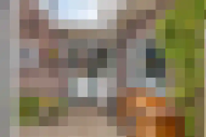 Heuvelenweg 16 Dwingeloo thumbnail 26