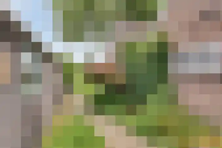 Heuvelenweg 16 Dwingeloo thumbnail 27