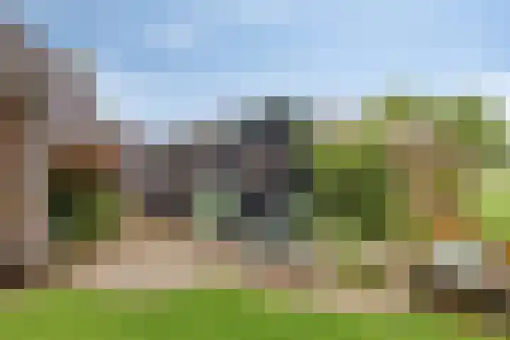Heuvelenweg 16 Dwingeloo thumbnail 28