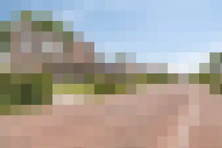 Heuvelenweg 16 Dwingeloo thumbnail 31