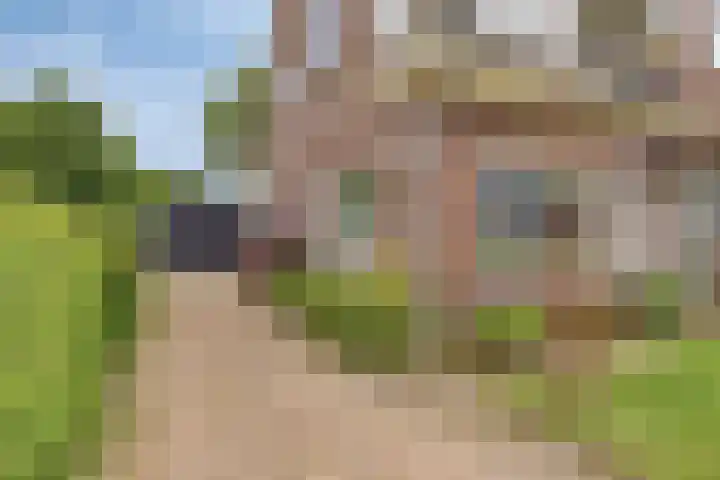 Heuvelenweg 16 Dwingeloo thumbnail 32