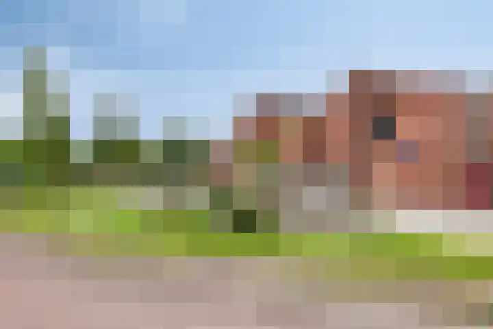 Heuvelenweg 16 Dwingeloo thumbnail 33