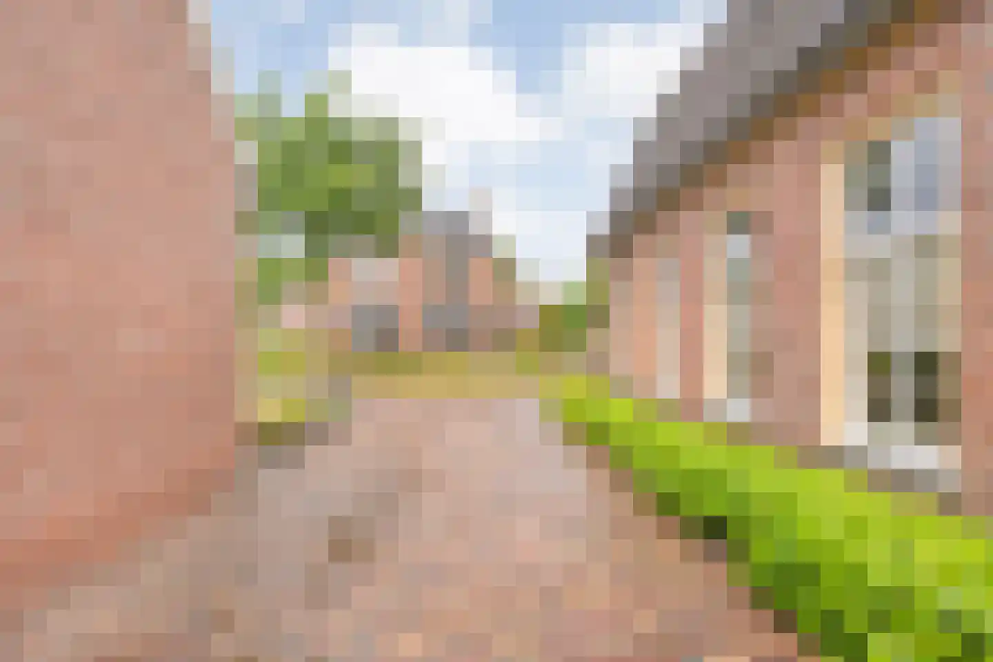 Heuvelenweg 4 Dwingeloo thumbnail 10